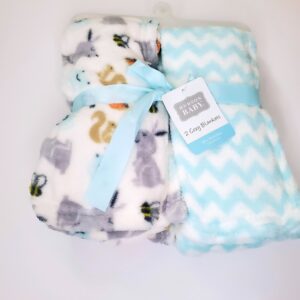 Hudson Baby Boy Plush 2pk Blanket